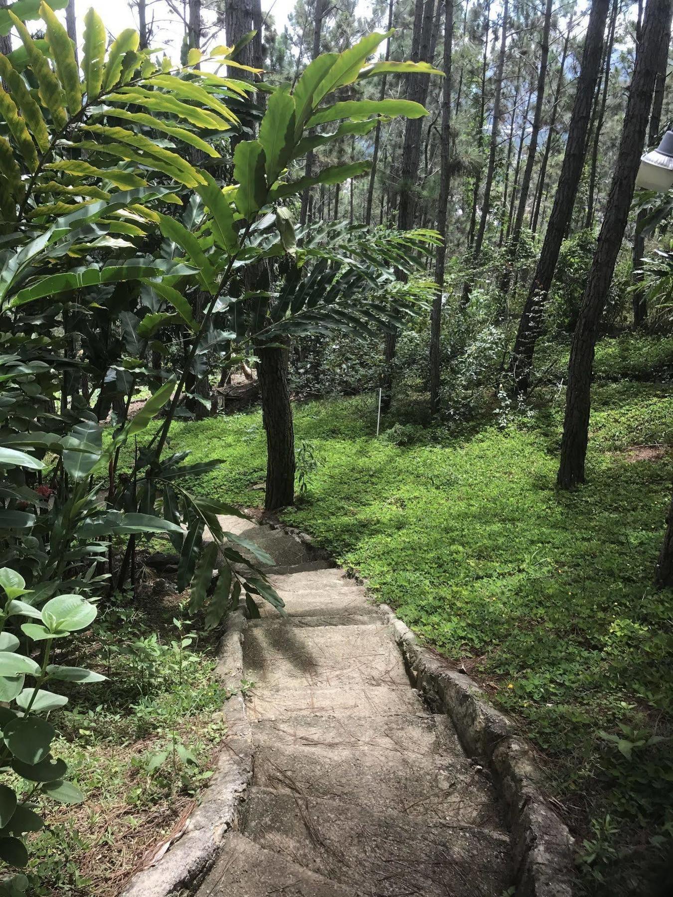 Rancho Tierra Alta Hotel Jarabacoa Bagian luar foto