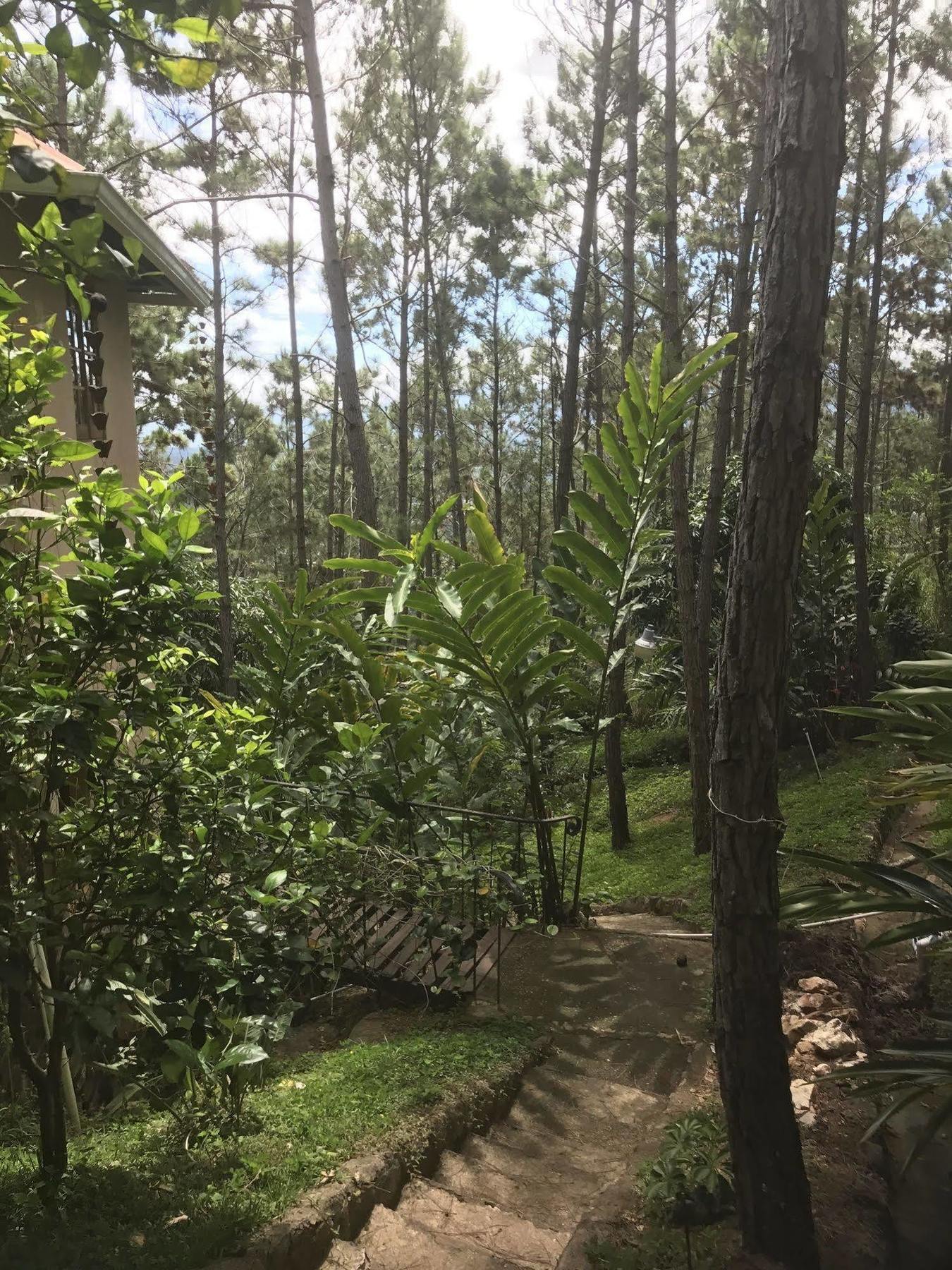 Rancho Tierra Alta Hotel Jarabacoa Bagian luar foto